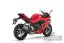 QJ-Motor - SRK 800 RR