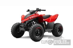 Dětská čtyřkolka CFMOTO X110 LE