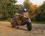 Vespa - 946 Horse