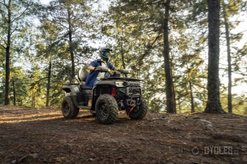 Goes TERROX 550-A-EPS