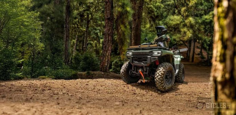 Goes TERROX 550-A-EPS