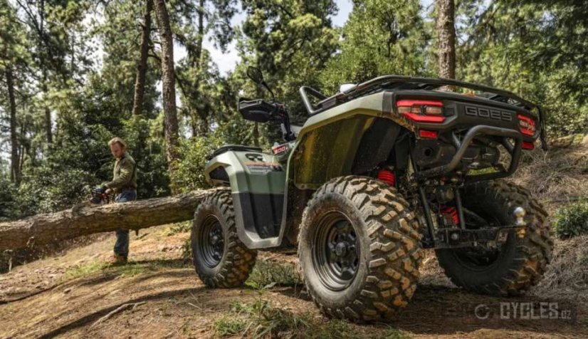 Goes TERROX 550-A-EPS