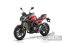 QJ-Motor - SRK 800
