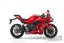 QJ-Motor - SRK 800 RR