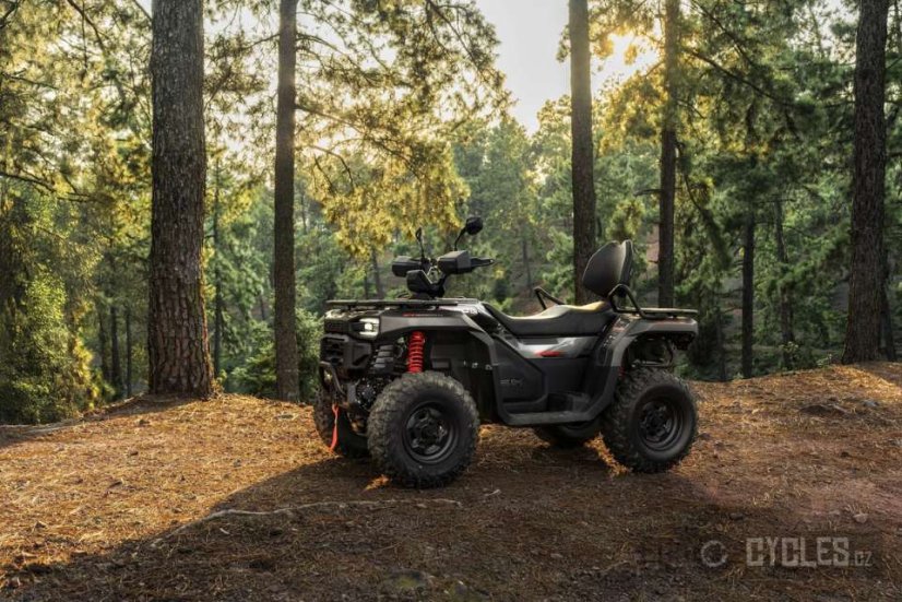 Goes TERROX 550-A