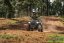Goes TERROX 550-A