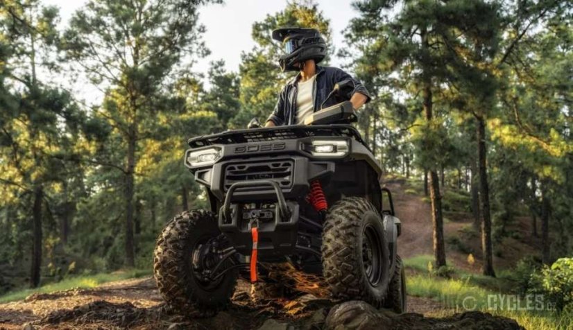 Goes TERROX 550-A-EPS