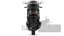 QJ-Motor - MTX 125 + kufr zdarma